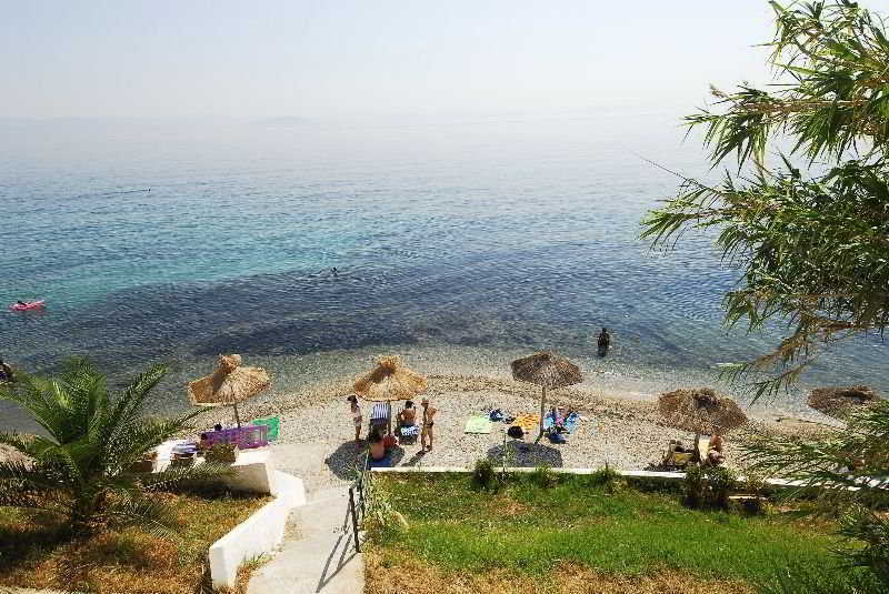 Belvedere 4*